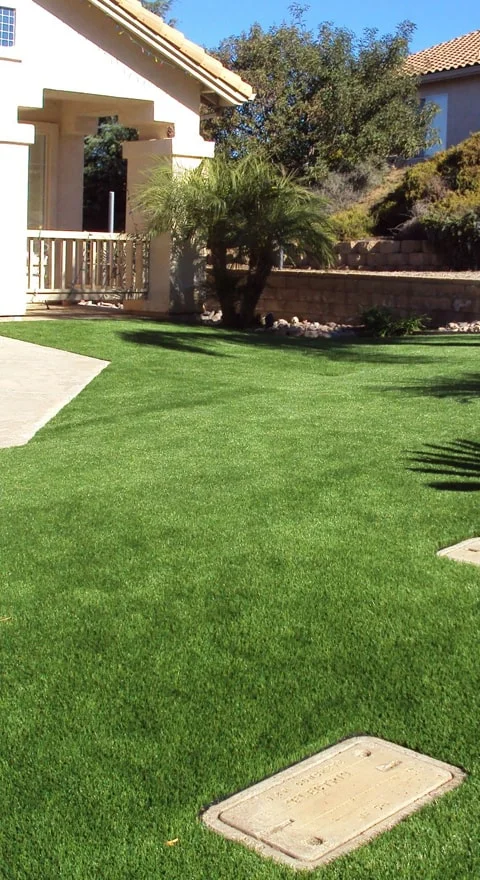 artificial grass