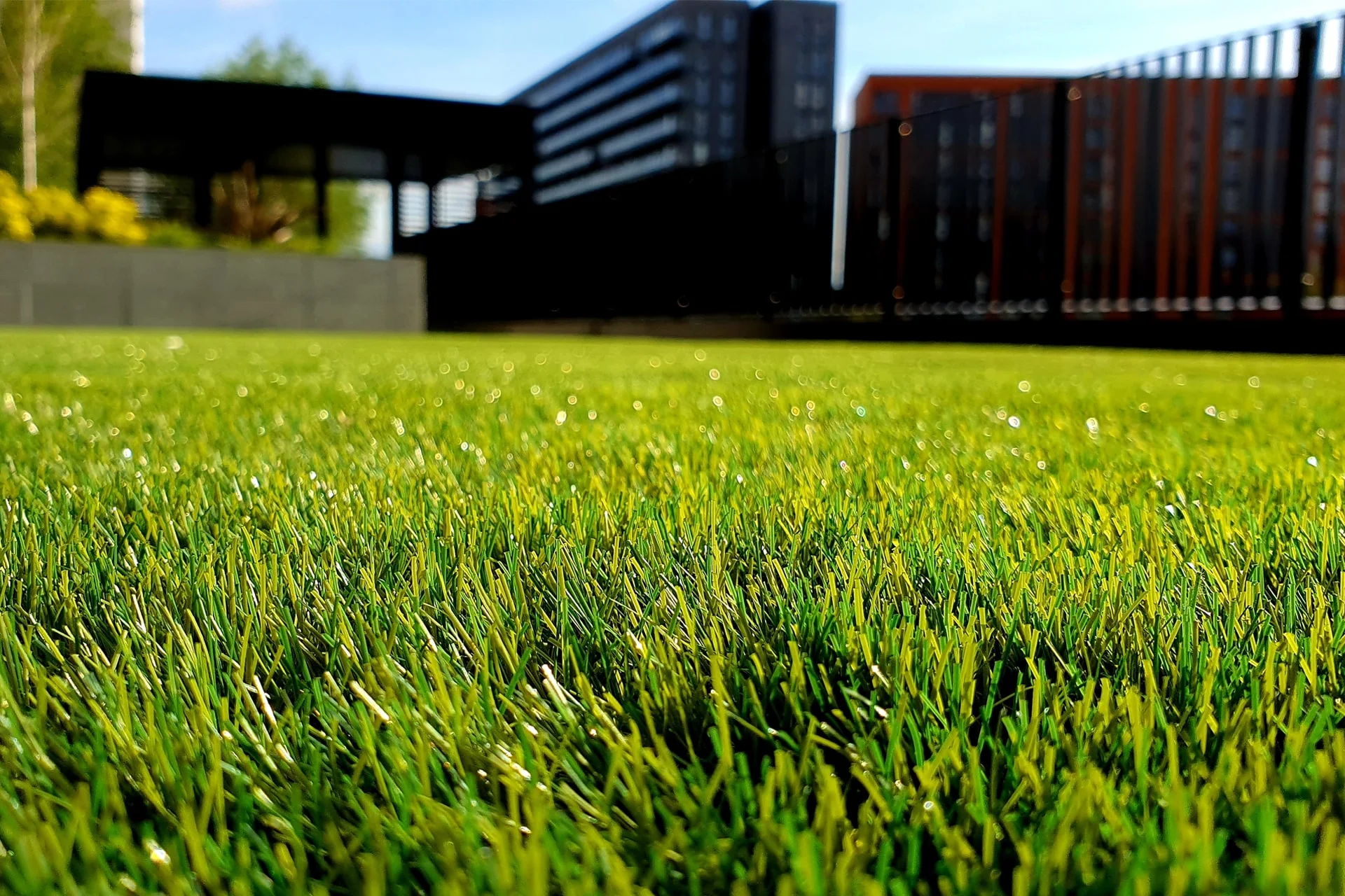 artificial grass